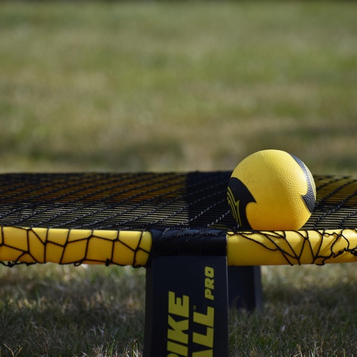 [13 pax] Spikeball